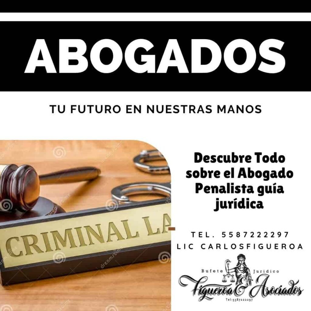 Descubre Todo sobre el Abogado Penalista guía jurídica