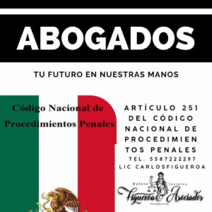 Artículo 251 del Código Nacional de Procedimientos Penales