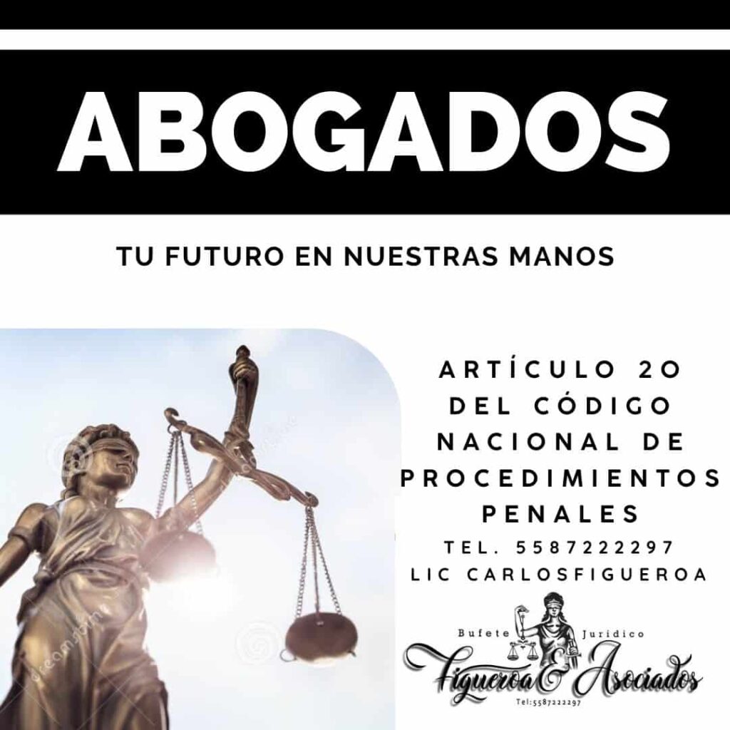 Artículo 20 del Código Nacional de Procedimientos Penales