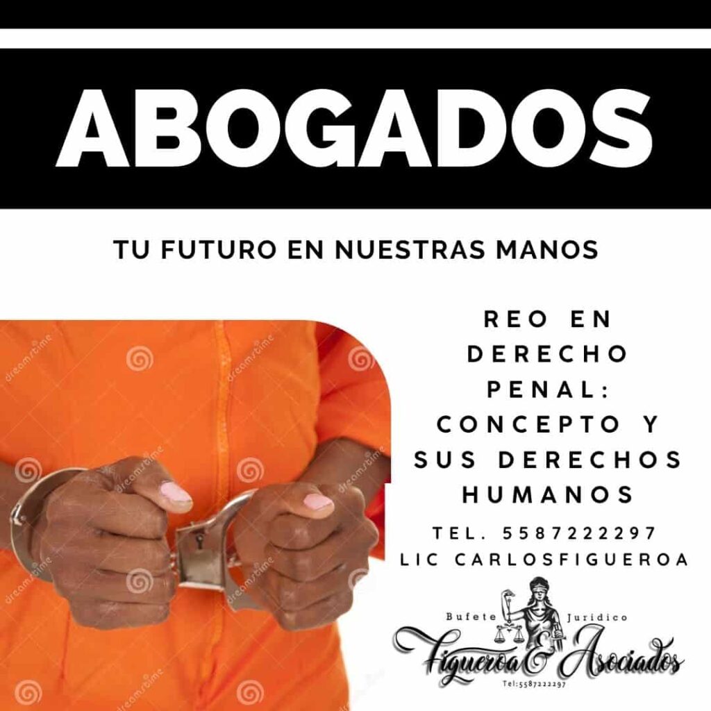 Reo en Derecho Penal: Concepto y sus Derechos Humanos
