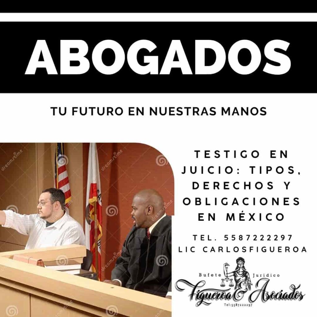 Testigo en Juicio: Tipos, Derechos y Obligaciones en México