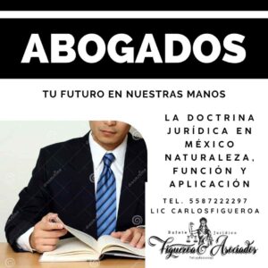La Doctrina Jurídica en México Naturaleza, Función y Aplicación