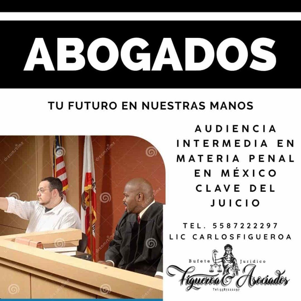 Audiencia Intermedia en Materia Penal en México Clave del Juicio