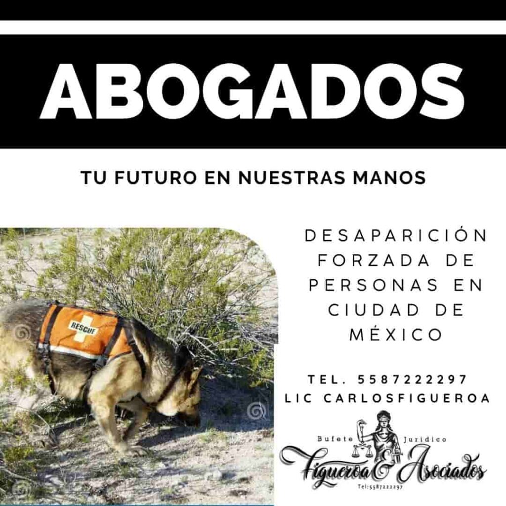 Desaparición forzada de personas en Ciudad de México
