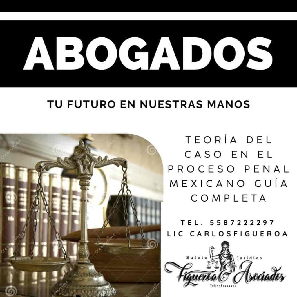 Teoría del Caso en el Proceso Penal Mexicano Guía Completa