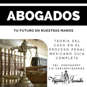 Teoría del Caso en el Proceso Penal Mexicano Guía Completa
