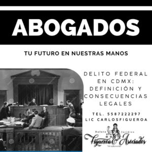 Delito federal en CDMX: definición y consecuencias legales