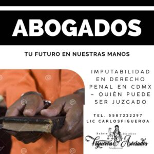 Imputabilidad en derecho penal en CDMX – Quién puede ser juzgado