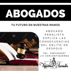 Abogado penalista explica las consecuencias del delito de despojo